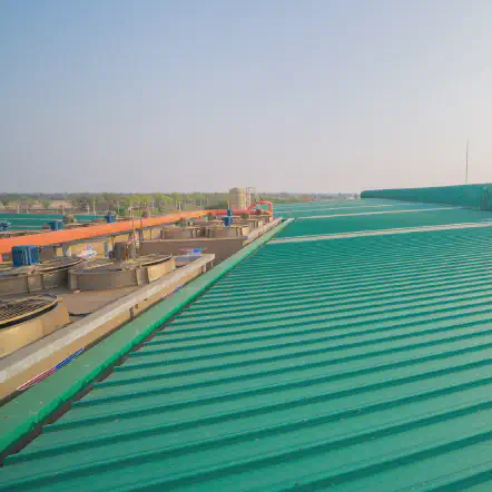Our Work